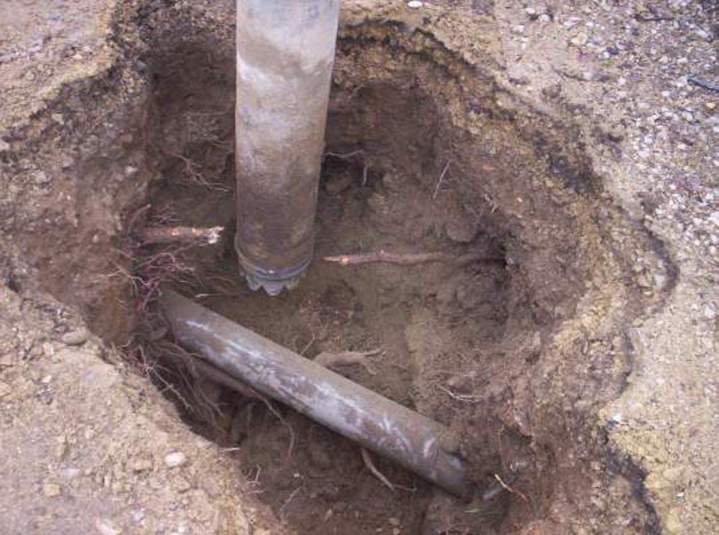 Dégagement de racines Ain